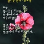 접시꽃 연가