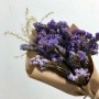 [Making] 생화로 드라이 플라워, Dry Flower 만들기, 꽃시장 방문