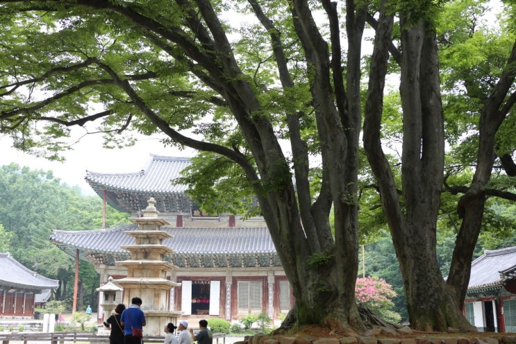 부여 외산 무량사 : 네이버 블로그