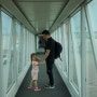 5세아이와 마카오여행 : 마카오공항에서 쉐라톤호텔 / 마카오쉐라톤 쿵푸피스트