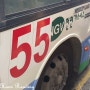 부산 55번 버스 노선 운행 시간표 ( 평일.토요일/일요일 )
