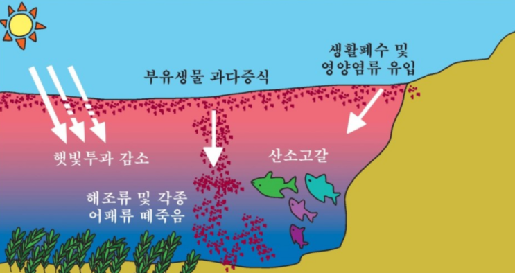 표면폭기기로 적조제거, 적조예방 : 네이버 블로그