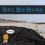 제주도 협재해수욕장