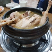 홍성맛집 / 대추나무집 삼계탕 닭백숙