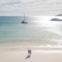 호주여행기 - [호주][시드니][퀸즈랜드][해밀턴아일랜드][해밀턴][위트선데이비치][화이트헤븐비치][whiteheaven beach][Hamilton island][whitsunday] - 하얀 천국을 닮은 해변 호주 해밀턴 White heave beach 투어