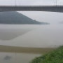 물안개가 내려 분위기 좋은 남한강풍경