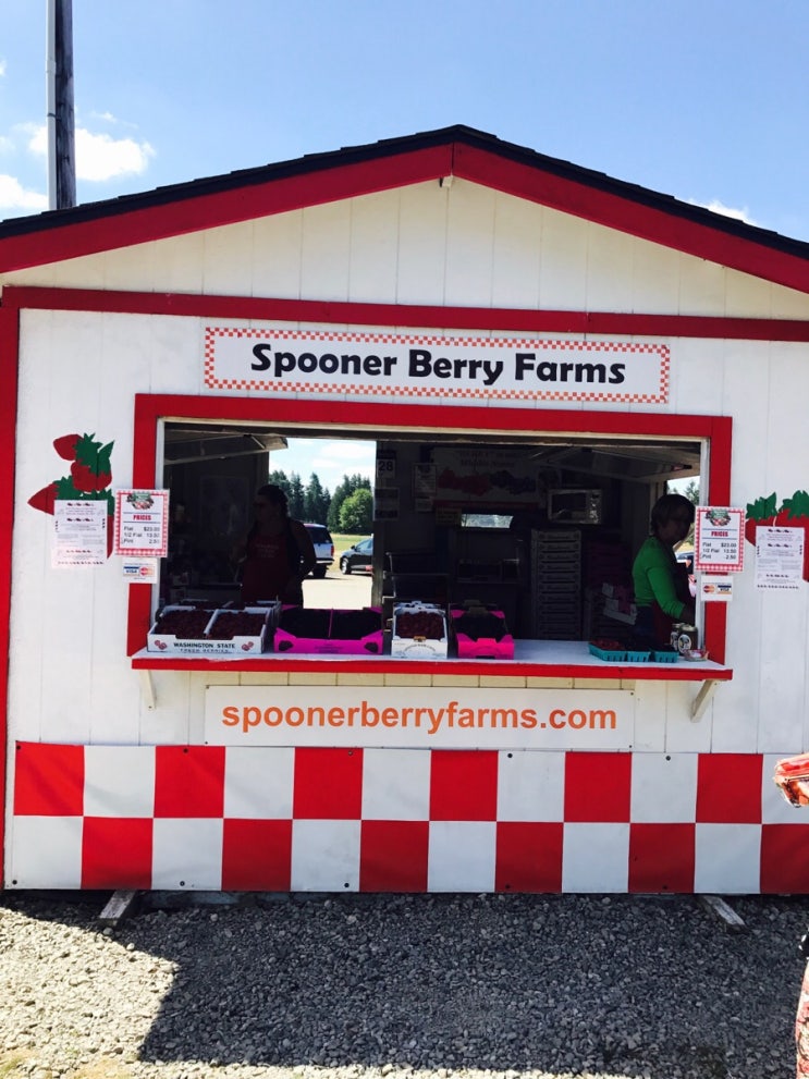 [올림피아,워싱턴]신선하고 맛있는 스푸너베리농장 Spooner berry farm : 네이버 블로그
