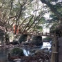 [대마도 관광지] 가미쓰시마(히타카츠) : 나루타키 자연공원(鳴滝自然公園).
