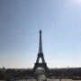 BEEROOM in paris :: 낮 에펠탑, 사이요궁에서 보는 에펠탑