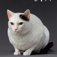 고양이 시리즈 18탄 모리구치 오사무
