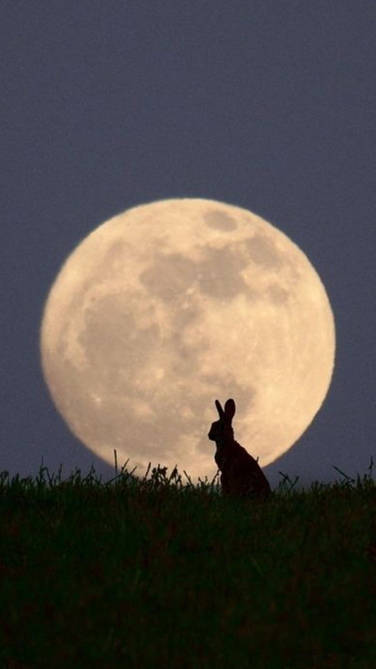 아이폰 달 별 감성 배경화면 : 네이버 블로그