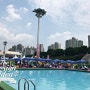 [한강시민공원] 광나루 수영장 주말 아이들과 함께