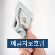 탄탄한 재무설계를 돕는 예금자보호법