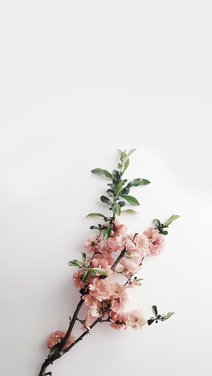 Imported vintage, unused! Orange-yellow cup filled with big tulip flowers  #플라워컵,#유리컵,#빈티지컵,#튤립컵,#레트로컵 on Bunjang Global Site., image size:720x1280