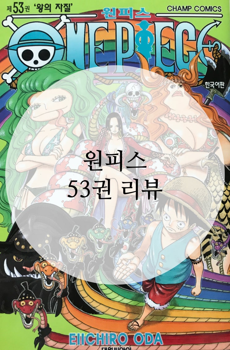 원피스 53권 리뷰 - 왕의 자질 : 네이버 블로그