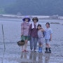 노을이 머무는 해변에 오신 할머니와 손녀들의 사연