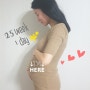 임신 25주1일차일상,임신7개월증상