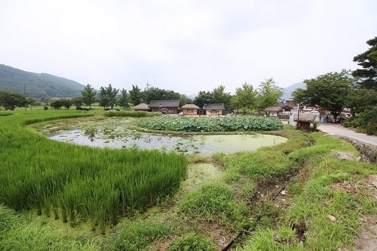 아산 가볼만한곳 베스트 5 아산으로 떠나는 감성여행 : 네이버 블로그