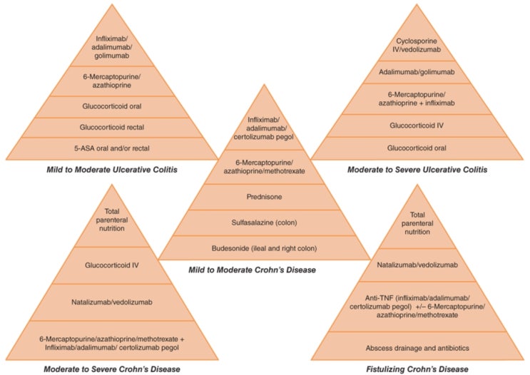 Inflammatory bowel disease의 약물 치료 : 네이버 블로그