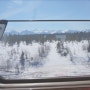혼자 여행 : 시베리아횡단열차 후기 바이칼호수