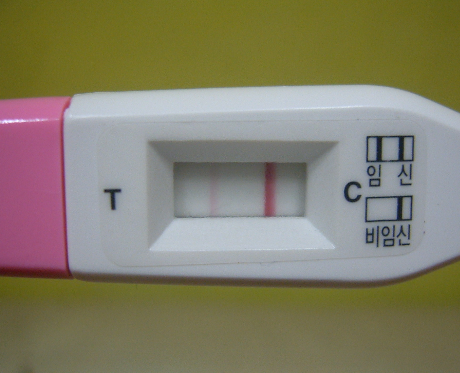 임테기 흐린 두줄 과 임신테스트기 한줄 임신 총정리 : 네이버 블로그
