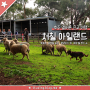호주 멜버른 여행: 호주 전통 농장 체험, 처칠 아일랜드(Churchill Island)