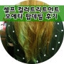 [모에타 팝데빌] 두번째 셀프 염색후기! 컬러 트리트먼트 도전!