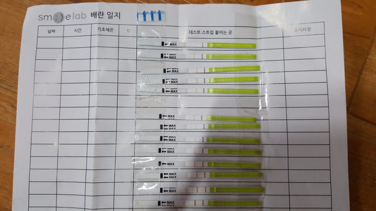 배란기테스트기사용하기 : 네이버 블로그