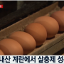 계란을 살충제달걀로 만들어버린 피프로닐