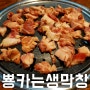 [청주 오창 맛집] 뿅카는 생막창 - 꽃돼지살 진짜 최고임