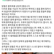 살충제 계란으로 난리....