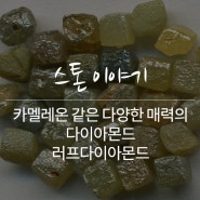 카멜레온 같은 다양한 매력을 지닌 다이아몬드 러프다이아몬드 [고찌아]GOCCIA