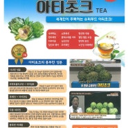 아티초크, 한국인터림협회