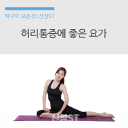 허리 통증에 좋은 요가 자세 추천