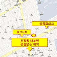 <울.부.컨> 남구 신정동 상가주택 매매 (월세 420만원)