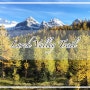 [캐나다 로키 여행] 밴프 국립공원 라치 밸리 트레일 (Larch Valley Trail) : 가을에 꼭 가야할 곳!