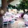 (하와이 와이키키 맛집) 앤티크한 핑크 테이블이 멋스러운 브런치 맛집 하우트리라나이-Hau Tree lanai