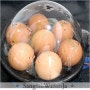 지멘스 계란 찜기 달걀 삶기
