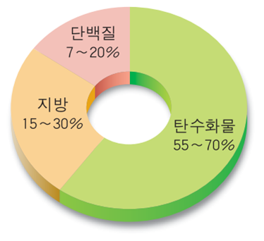 우리 몸에서 가장 중요한 3대 영양소 : 네이버 블로그