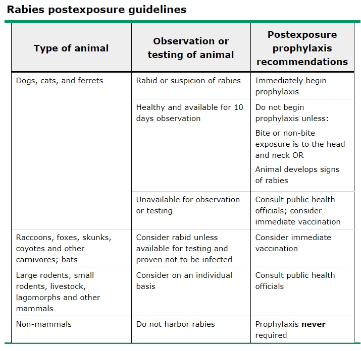 공수병 바이러스, 노출 후 예방, Rabies virus, Post-exposure prophylaxsis : 네이버 블로그