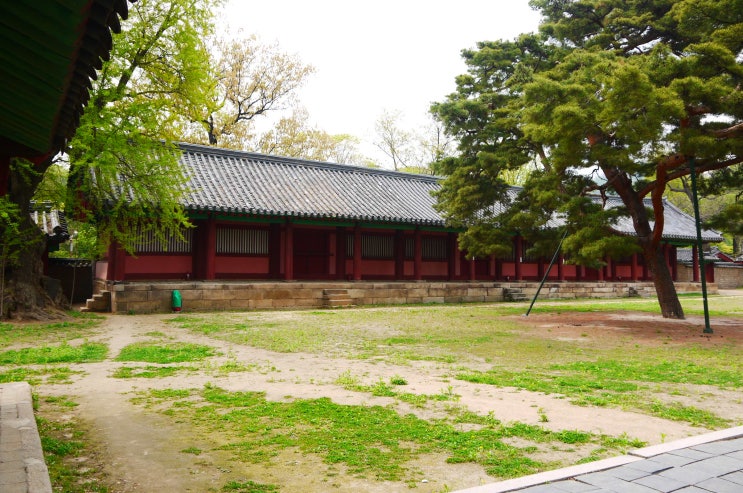 서울문묘(성균관) : 동무·서무
