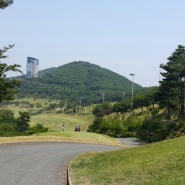 포항 오션힐스cc 라운딩후기, 오션힐스컨트리클럽