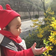 ♡228♡순둥이 육아일기 - 7개월아기일상:) 생애첫꽃구경^.^ 아기랑 일산호수공원꽃구경