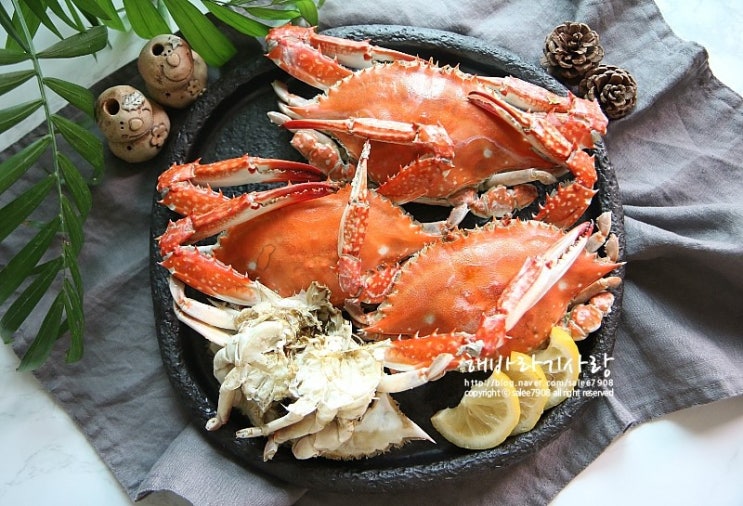 꽃게 손질법, 찌는법 집에서도 맛있게! : 네이버 블로그
