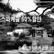 덕산 리솜스파캐슬 -덕산숲속의정원펜션 - 강추해요!!