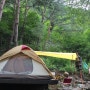 [두타산자연휴양림] 숲에서의 여름휴가 캠핑