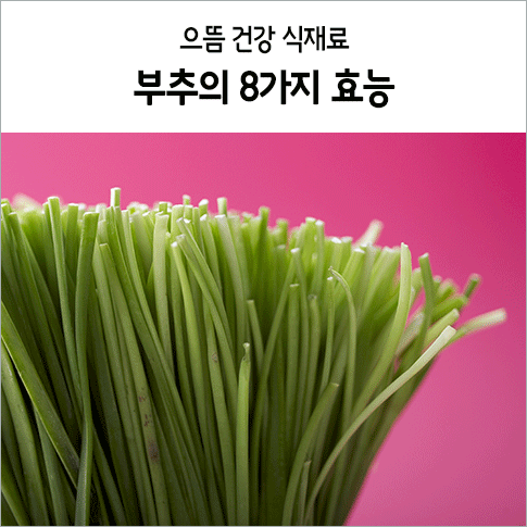 부추의 8가지 효능 : 네이버 블로그