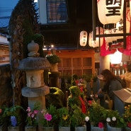 오사카여행 : 호젠지요코초 호젠지(法善寺)
