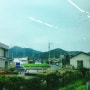 후쿠오카 1 - 규탄과 오징어회. 가라쓰.