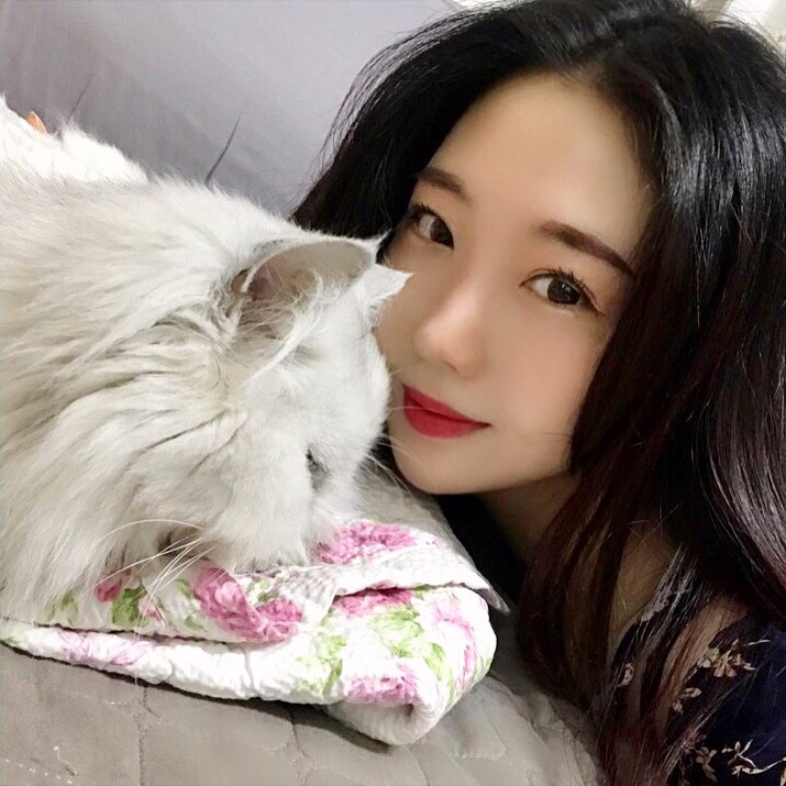 [울산] 이승진동물병원 , 마이캣 클리닉 , 고양이전문병원 , 장약한고양이사료추천 , 야간진료 : 네이버 블로그